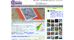 Desktop Screenshot of amami.com