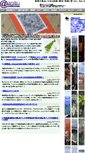 Mobile Screenshot of amami.com